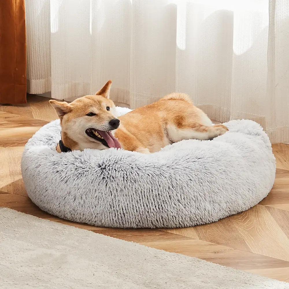 Pet Beds & Furniture