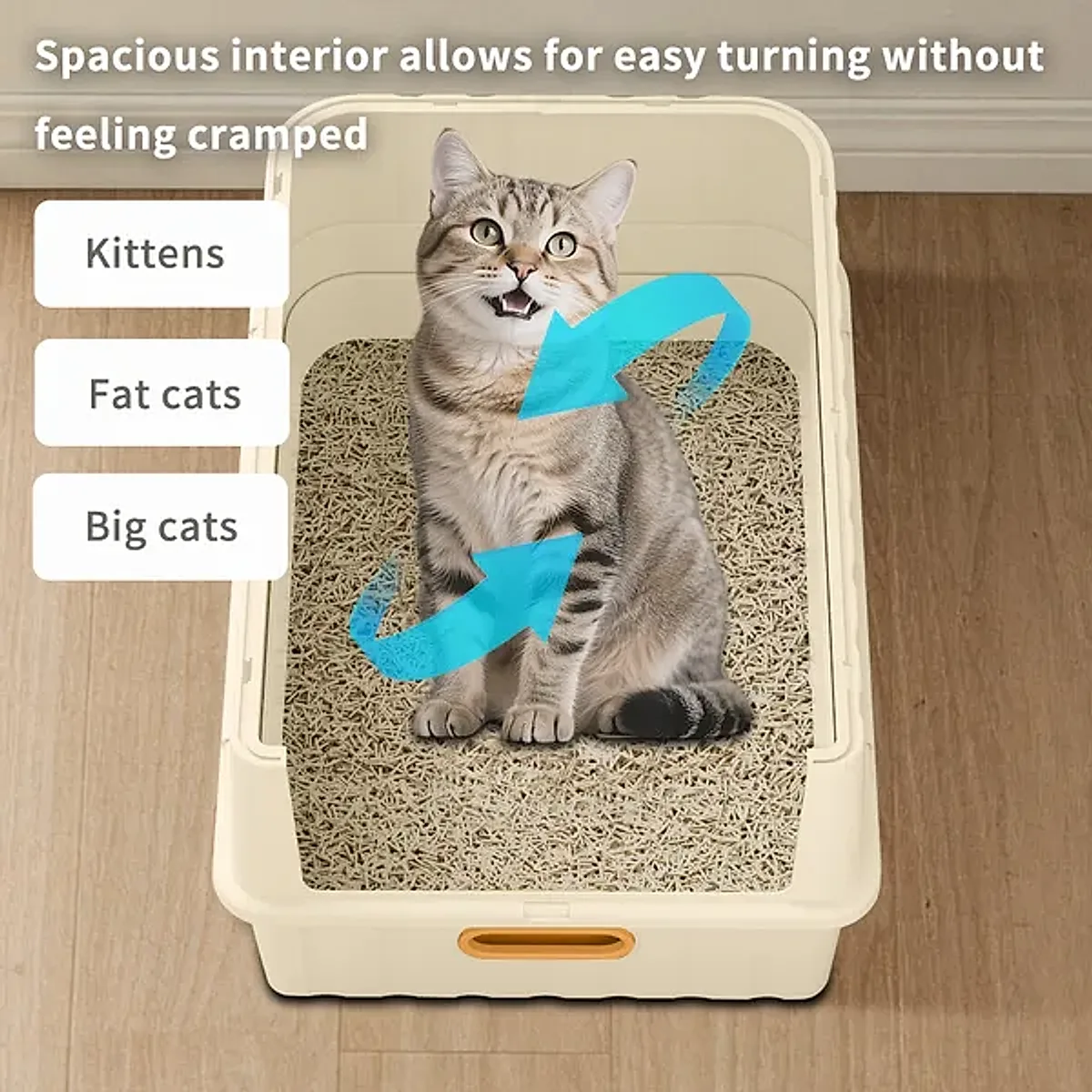 Litter & Cleanup